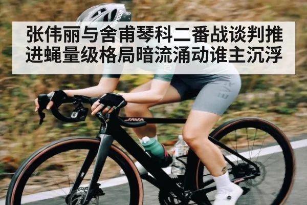 张伟丽与舍甫琴科二番战谈判推进蝇量级格局暗流涌动谁主沉浮